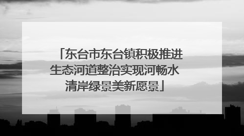 东台市东台镇积极推进生态河道整治实现河畅水清岸绿景美新愿景