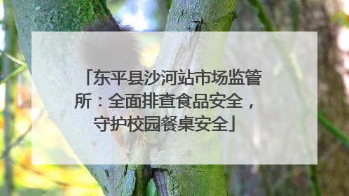 东平县沙河站市场监管所：全面排查食品安全，守护校园餐桌安全