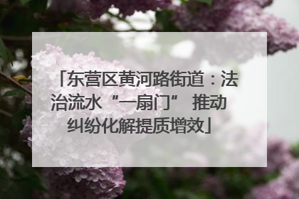 东营区黄河路街道：法治流水“一扇门” 推动纠纷化解提质增效