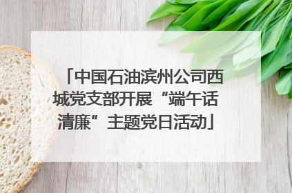 中国石油滨州公司西城党支部开展“端午话清廉”主题党日活动