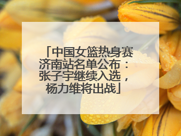 中国女篮热身赛济南站名单公布：张子宇继续入选，杨力维将出战