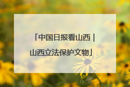 中国日报看山西｜山西立法保护文物