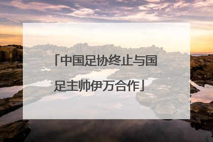 中国足协终止与国足主帅伊万合作