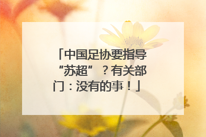 中国足协要指导“苏超”？有关部门：没有的事！