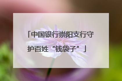 中国银行崇阳支行守护百姓“钱袋子”