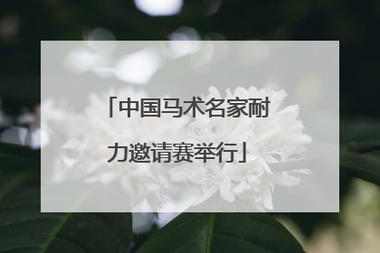中国马术名家耐力邀请赛举行