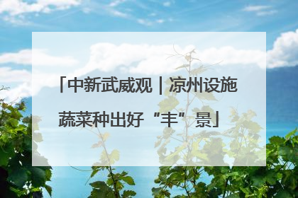 中新武威观｜凉州设施蔬菜种出好“丰”景