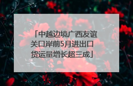 中越边境广西友谊关口岸前5月进出口货运量增长超三成