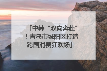 中韩“双向奔赴”！青岛市城阳区打造跨国消费狂欢场