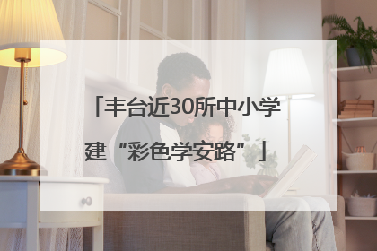 丰台近30所中小学建“彩色学安路”