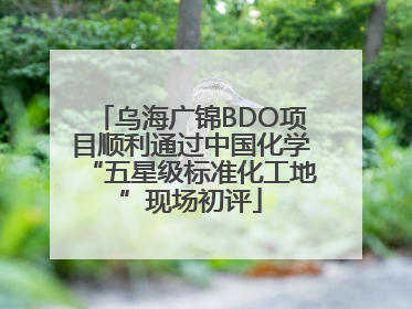 乌海广锦BDO项目顺利通过中国化学“五星级标准化工地”现场初评