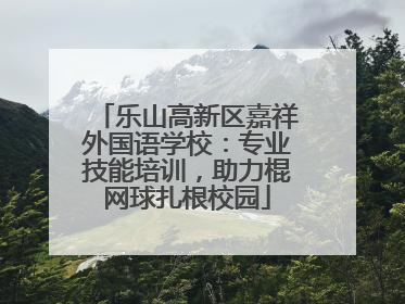 乐山高新区嘉祥外国语学校：专业技能培训，助力棍网球扎根校园