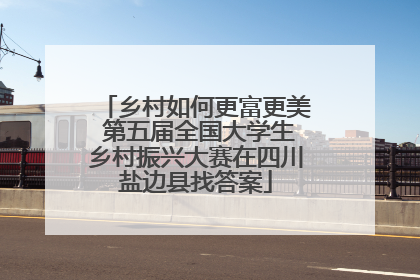 乡村如何更富更美 第五届全国大学生乡村振兴大赛在四川盐边县找答案