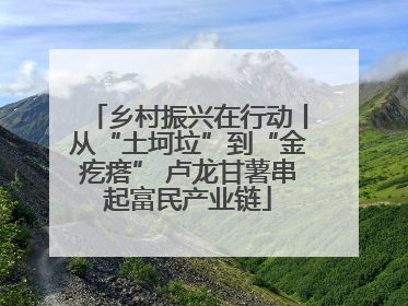 乡村振兴在行动丨从“土坷垃”到“金疙瘩” 卢龙甘薯串起富民产业链