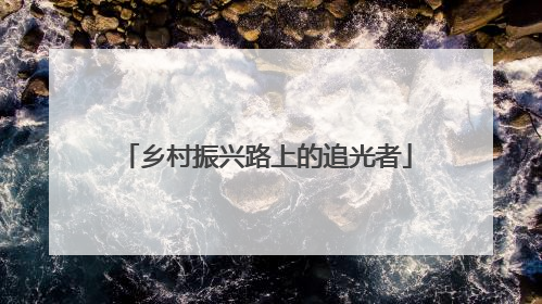 乡村振兴路上的追光者