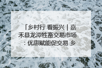 乡村行 看振兴｜嘉禾县龙潭牲畜交易市场：优惠赋能促交易 乡村振兴添动能