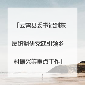 云霄县委书记到东厦镇调研党建引领乡村振兴等重点工作