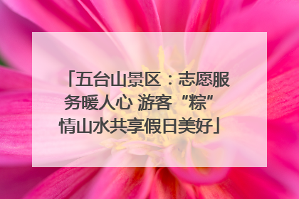 五台山景区：志愿服务暖人心 游客“粽”情山水共享假日美好