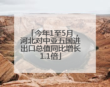 今年1至5月，河北对中亚五国进出口总值同比增长1.1倍