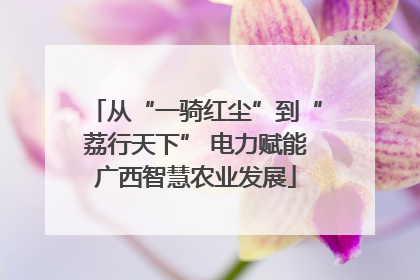 从“一骑红尘”到“荔行天下” 电力赋能广西智慧农业发展