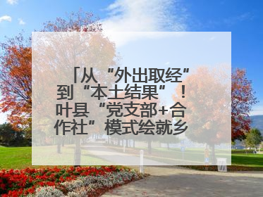 从“外出取经”到“本土结果”！叶县“党支部+合作社”模式绘就乡村振兴新图景