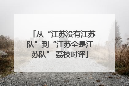 从“江苏没有江苏队”到“江苏全是江苏队” 荔枝时评
