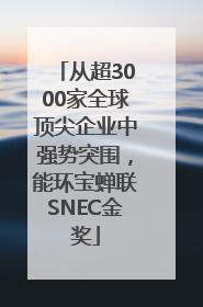 从超3000家全球顶尖企业中强势突围，能环宝蝉联SNEC金奖