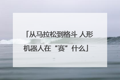 从马拉松到格斗 人形机器人在“赛”什么
