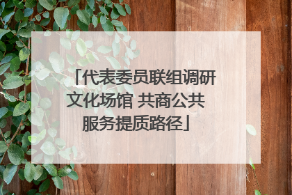 代表委员联组调研文化场馆 共商公共服务提质路径