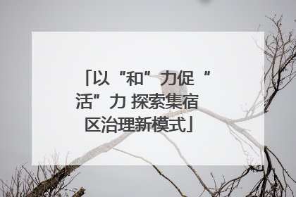 以“和”力促“活”力 探索集宿区治理新模式