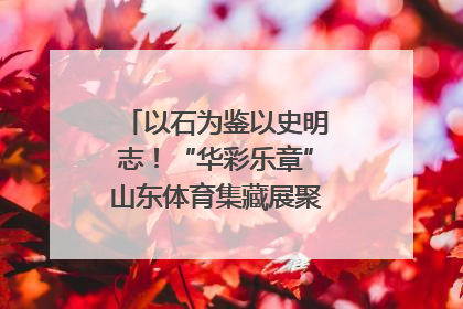 以石为鉴以史明志！“华彩乐章”山东体育集藏展聚焦“岱石丹心”