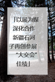 以展为媒 深化合作 新疆石河子再创参展“大交会”佳绩