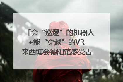 会“巡逻”的机器人+能“穿越”的VR 来西博会德阳馆感受古蜀文明与现代智造的时空对话｜西博视界