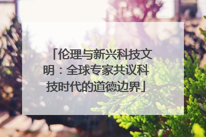 伦理与新兴科技文明：全球专家共议科技时代的道德边界