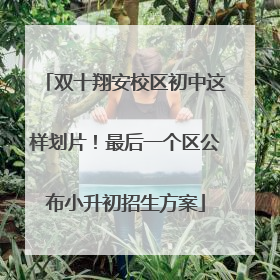 双十翔安校区初中这样划片！最后一个区公布小升初招生方案