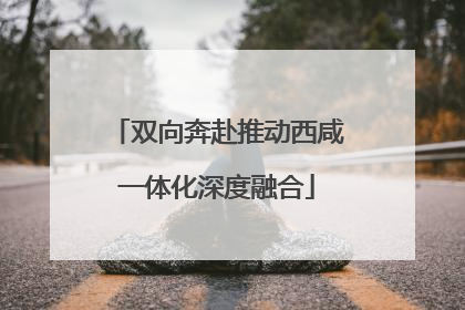 双向奔赴推动西咸一体化深度融合