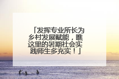 发挥专业所长为乡村发展赋能，瞧这里的暑期社会实践师生多充实！