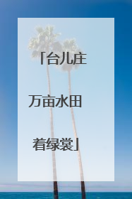 台儿庄万亩水田着绿裳