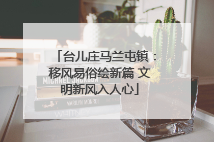 台儿庄马兰屯镇：移风易俗绘新篇 文明新风入人心
