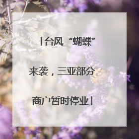 台风“蝴蝶”来袭，三亚部分商户暂时停业