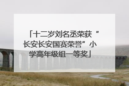 十二岁刘名丞荣获“长安长安国赛荣誉”小学高年级组一等奖