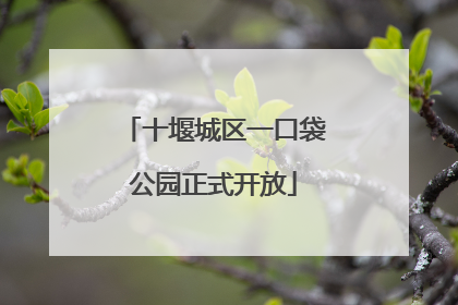 十堰城区一口袋公园正式开放
