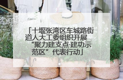 十堰张湾区车城路街道人大工委组织开展 “聚力建支点·建功示范区”代表行动