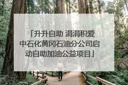 升升自助 涓涓积爱 中石化黄冈石油分公司启动自助加油公益项目