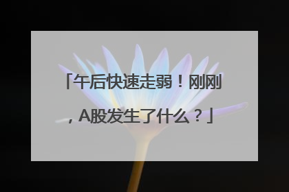 午后快速走弱！刚刚，A股发生了什么？
