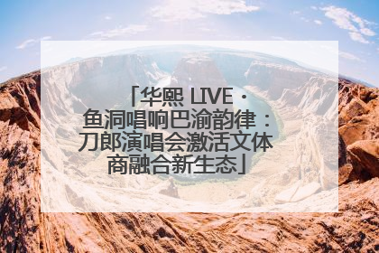华熙 LIVE・鱼洞唱响巴渝韵律：刀郎演唱会激活文体商融合新生态