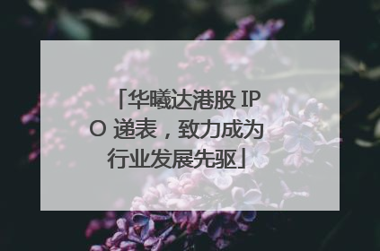 华曦达港股 IPO 递表，致力成为行业发展先驱
