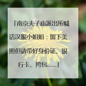 南京夫子庙派出所喊话汉服小姐姐：留下美照但请带好身份证、银行卡、挎包……