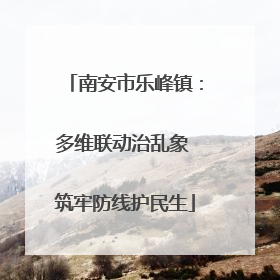 南安市乐峰镇：多维联动治乱象 筑牢防线护民生