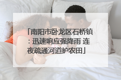 南阳市卧龙区石桥镇：迅速响应强降雨 连夜疏通河道护农田